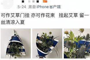 保罗受伤！追梦解禁！？你们衔接得挺好啊